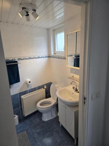a bathroom with a toilet and a sink at Hooisma's Erf in Kampen