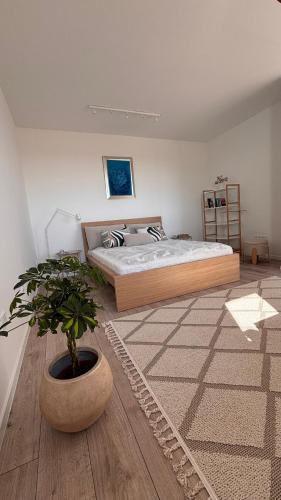 a bedroom with a bed and a potted plant at Penthouse-Villa Natura in Hegykő
