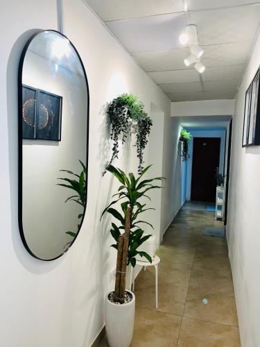 a mirror on a wall with a plant in a hallway at Grand Stay Abu Dhabi in Abu Dhabi