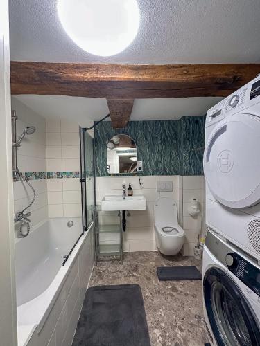 a bathroom with a toilet and a sink and a washing machine at Ferienhaus Sonnentälchen Weinberg in Konz
