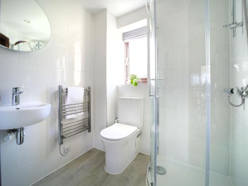 a bathroom with a toilet and a sink and a shower at Sycamore in Penpillick
