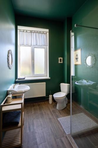 a green bathroom with a toilet and a sink at Bērzgala Viesu Nams in Stradi