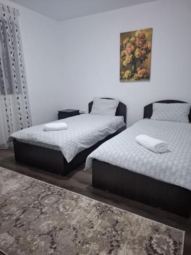 two beds sitting next to each other in a bedroom at Park Residence in Hoghiz