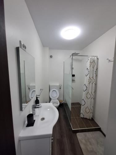 a bathroom with a sink and a shower and a toilet at Park Residence in Hoghiz