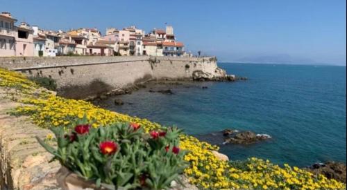 Chambre Plage Ponteil ANTIBES