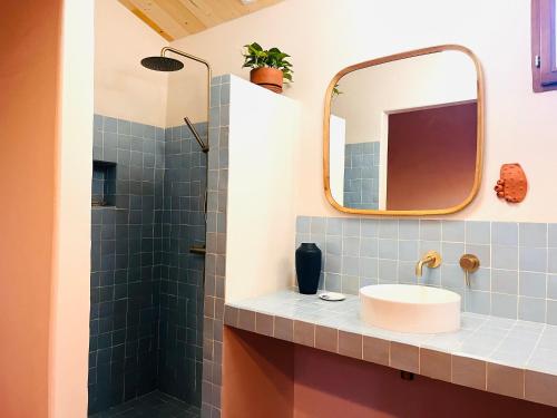 a bathroom with a sink and a mirror at Mas Saint Michel in Vivès