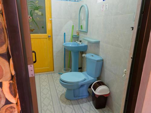 a bathroom with a blue toilet and a sink at New Toropi Homestay in Gadaladeniya