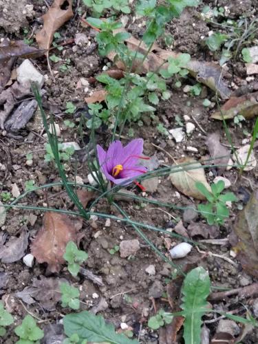 Φωτογραφία από το άλμπουμ του Agriturismo Il Melo σε Valfabbrica