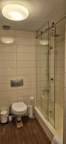 a bathroom with a toilet and a glass shower at Cosmo Iris in Ştefăneştii de Sus