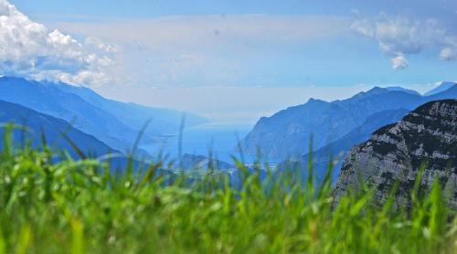 a view of a mountain range with green grass at Hotel & Residence Montana in Fai della Paganella