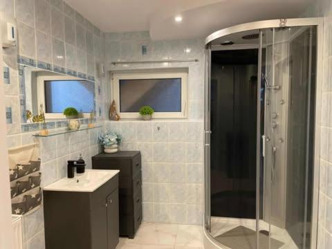 a bathroom with a shower and a sink at Domek Pluto Konradów 1 in Lądek-Zdrój