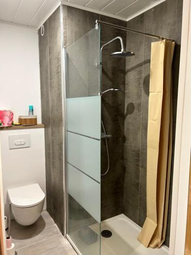 Appartement 1 chambre - Tout à 5 minutes