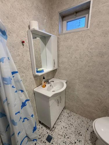 a bathroom with a sink and a toilet and a mirror at Green Home in Kobuleti
