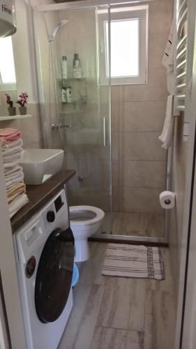 a bathroom with a shower and a toilet and a sink at Topli Kutak in Blatina