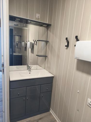 a bathroom with a sink and a mirror at La Marie Galante Appart'Hotel in Saint-Georges-dʼOléron