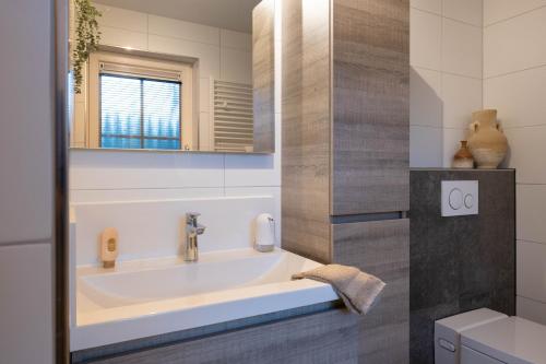 a bathroom with a sink and a mirror at Lodge met eigen wellness onder de bomen in Lochem
