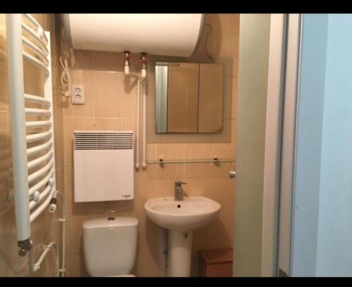 Apartamente Manjeru tesisinde bir banyo
