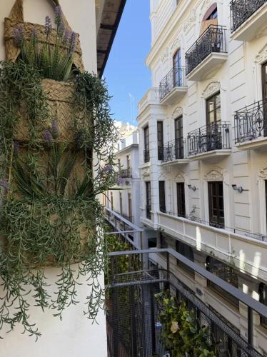 Nuevo, centrico y luminoso Apartamento casaslacambra