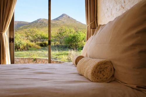 a teddy bear sitting on a bed in a room with a window at Phillipskop Eco-Chalets in Stanford