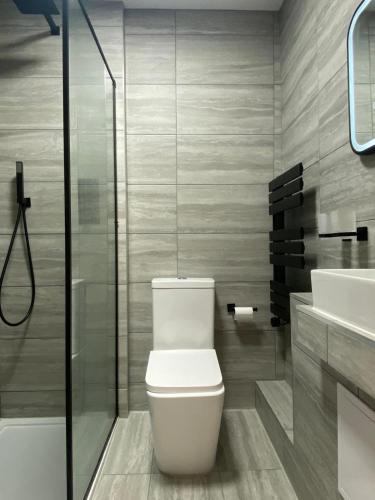 a bathroom with a toilet and a sink at West Cliff Studio - Private Garden mins from Beach in Bournemouth
