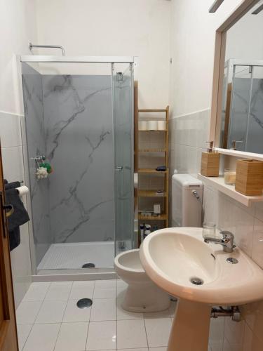 a bathroom with a shower and a toilet and a sink at B&B Boffa in Buccino