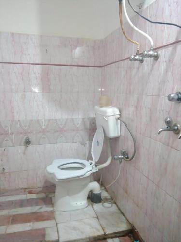 a bathroom with a toilet and a shower at Hotel Kailash View, Kalpa in Kalpa