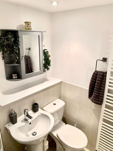 a bathroom with a white toilet and a sink at The Coach House, Cleobury Mortimer in Cleobury Mortimer