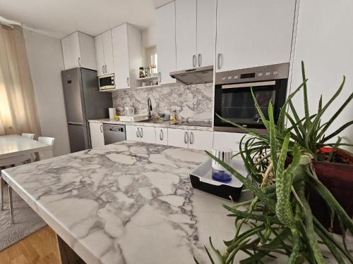 a kitchen with a large marble counter top at Airport Apartment in Surčin
