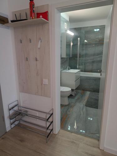 a bathroom with a toilet and a sink and a shower at Cazare Rasnov cu vedere spre Postavaru in Râşnov