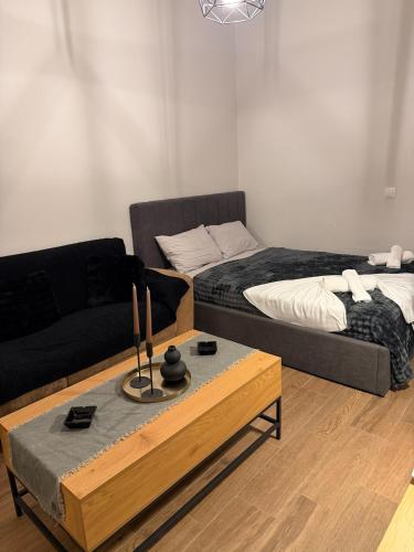 Modern studio apartment