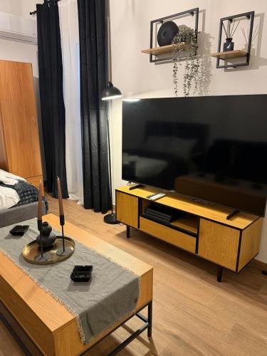 Modern studio apartment