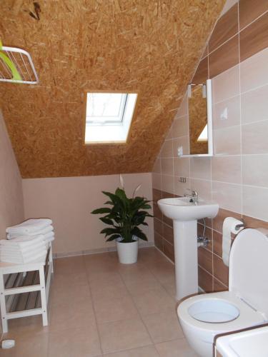 a bathroom with a toilet and a sink at Penzion Gerhard Klíny in Klíny