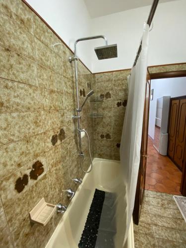 a bathroom with a shower and a bath tub at Casa il Giardino in Castiglion Fiorentino