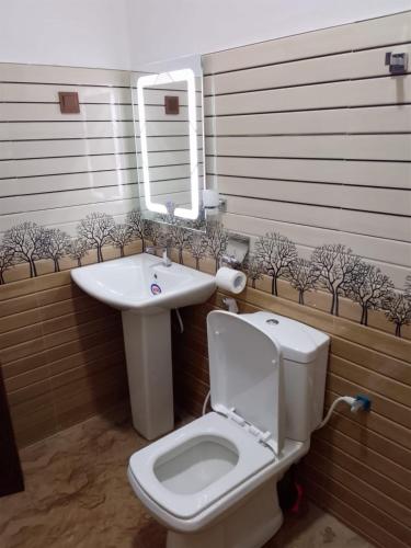 a bathroom with a toilet and a sink at Ella Field Side View Rooms & Cafe in Demodera