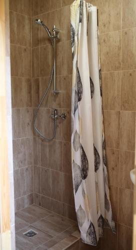 a shower with a shower curtain in a bathroom at Shambhala in Czarnów