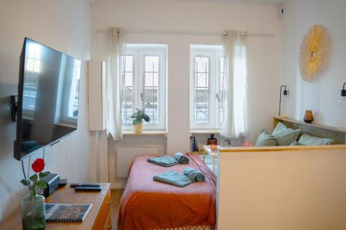 Centre historique de Toulouse - Appartement cosy face à la Garonne - L'écrin de Tounis