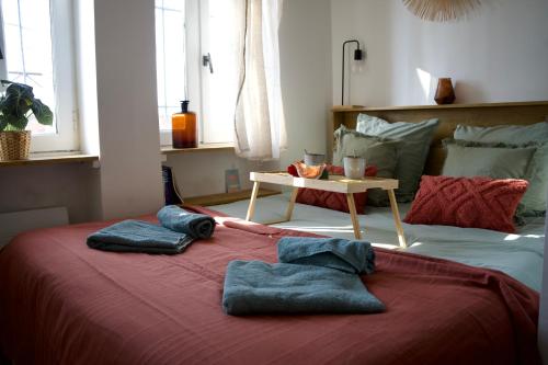 Centre historique de Toulouse - Appartement cosy face à la Garonne - L'écrin de Tounis