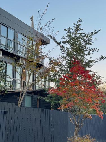 a tree with red leaves in front of a building at 光沙の森 in Hakone