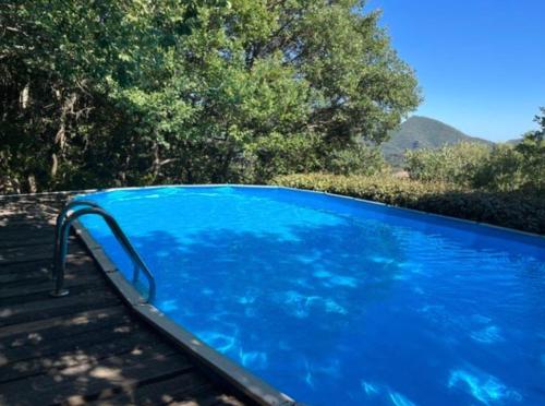 a large blue swimming pool sitting next to some trees at Les Terrasses d'Héric in Mons