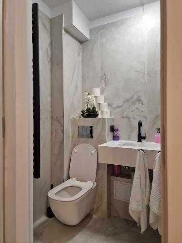 a bathroom with a toilet and a sink at Studio Maria in Bucharest