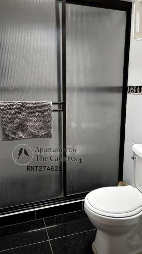 a bathroom with a toilet and a metal wall at apartamento thecanarys 1 in Santa Rosa de Cabal