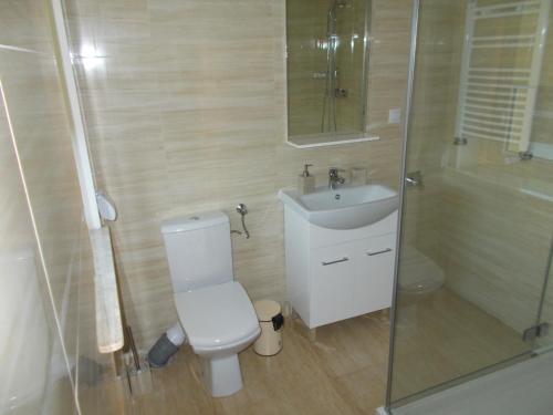 a bathroom with a toilet and a sink and a shower at Willa Poniatowskiego in Grodzisk Mazowiecki