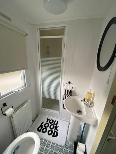 a bathroom with a sink and a toilet and a mirror at 66 The Firs - Southview Holiday Park in Skegness