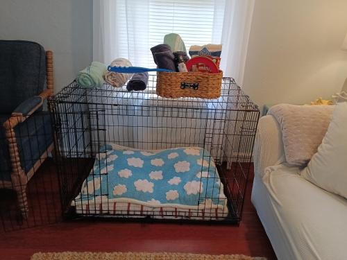 a black cage with a cat in it at The Lemon Zest Cottage Paws Welcome in Pensacola