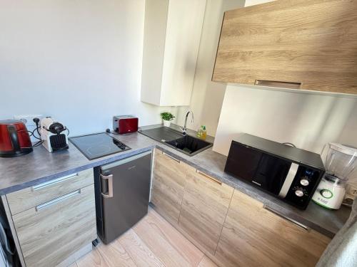 Beautiful studio Cannes Center