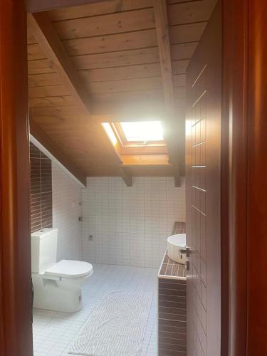 a bathroom with a toilet and a sink at Chaido's attic in Larisa