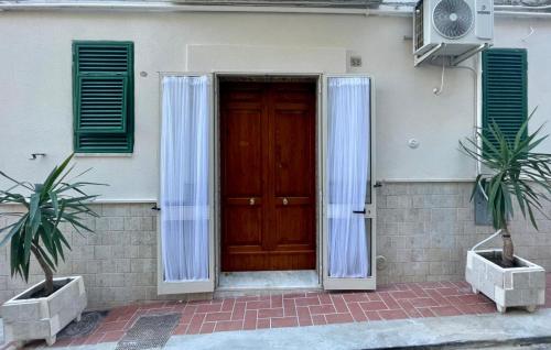 a door to a house with two plants in front of it at Lucy Home in Pisticci