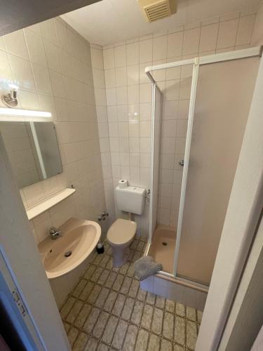 a bathroom with a shower and a toilet and a sink at Pension am Markt Luckenwalde in Luckenwalde