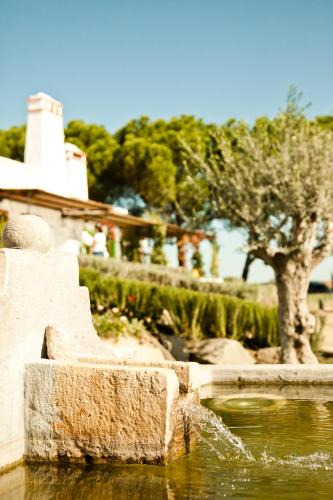 a fountain in the water with a tree in the background at Casas de Juromenha in Juromenha