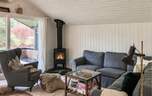 a living room with a couch and a fireplace at 2 Bedroom Nice Home In Hundested in Hundested
